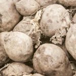 जब साधारण नुनले बीटलाई अप्रत्याशित भाग्यबाट बचाउँछ: सोडियम मिठासको कुञ्जीको रूपमा unnamed-file.jpg